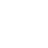Icon zum Shop